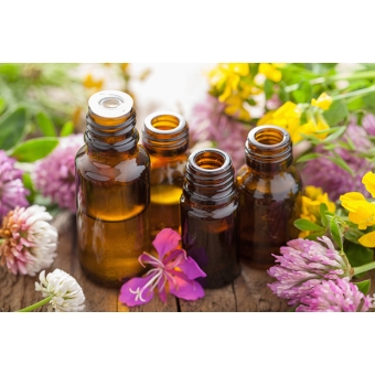 tinh dầu phong lữ